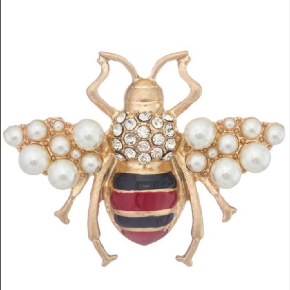 Love Bug Brooch 🐞🐞